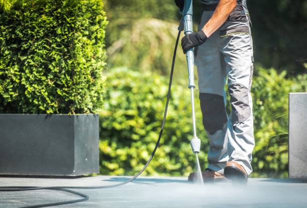 Animal Enclosure Cleaning in Whitaker, PA
